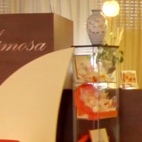 Mimosa Отель 3*